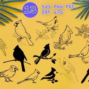 CARDINAL BIRD SVG, Kardinal Svg, Kardinal Svg, Weihnachten Svg, Kardinal Clipart, Kardinal Dxf, Kardinal Silhouette, Schablone, Bügeleisen, Umriss