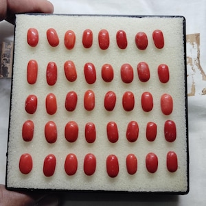 May include: A collection of 36 oval-shaped red coral gemstones arranged in a grid pattern on a white foam background. The gemstones are all approximately the same size and shape.