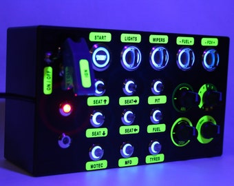 PC USB 31 functions button box for Simracing  all backlit blue buttons + Neon Labels sheet