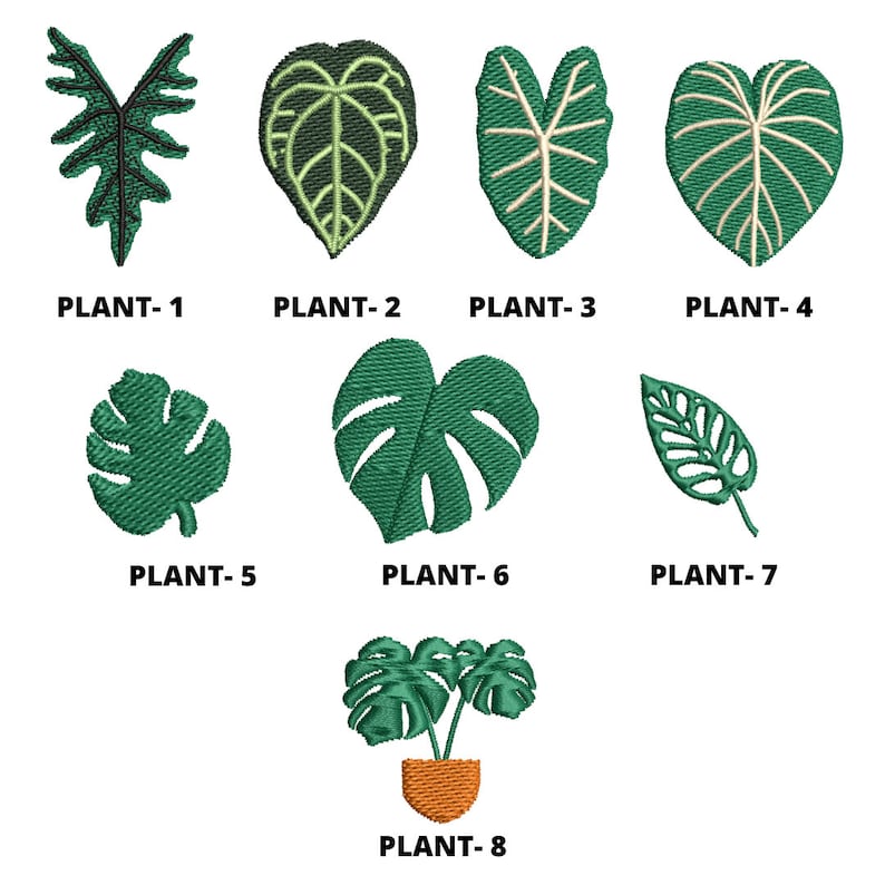 Puede incluir: Ocho ilustraciones diferentes de plantas verdes, incluyendo una monstera, una hoja en forma de coraz&oacute;n y una planta en una maceta. Las ilustraciones est&aacute;n sobre un fondo blanco.
