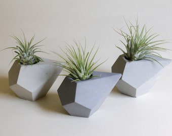 Geometric Air Plant Holder-Mini Concrete Planter-Incense Cone Holder-Small Succulent Pots-Geometric Shelf Art Housewarming Gift