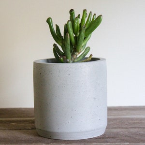 Succulent Plant Pot-Concrete Planter with Drainage-Rustic Planter