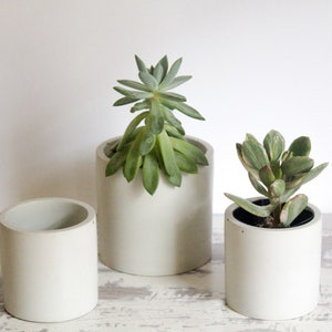 Set of Three Planters with Drainage and Trays- Concrete Planters-Indoor Planters for Succulents Herbs Cacti- Housewarming Gift