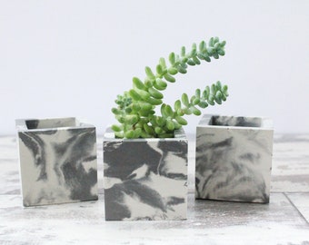 3 Mini Succulent Planters-Shelf Decor