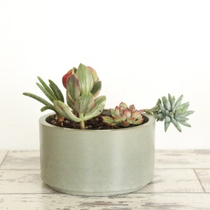 Shallow Planter-Entryway Catchall Bowl-Minimalist Home Decor-Home Gift