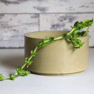Concrete Bowl-Catchall Bowl-Large Round Concrete Planter-Succulent-Bonsai-Cacti Planter-Custom Olive Green