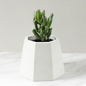 Geometric Planter-Concrete Planter Pot-Unique Plant Lover Gift-Home Office Decor Organization