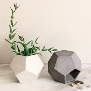 May include: Two geometric concrete planters, one white and one grey, with a succulent plant in the white planter. The grey planter has a hole in the side and is sitting on a marble surface with small green and white stones.