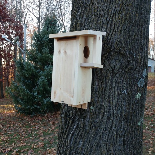 Squirrel Nesting Box With Predator Guard Easy to Mount Etsy