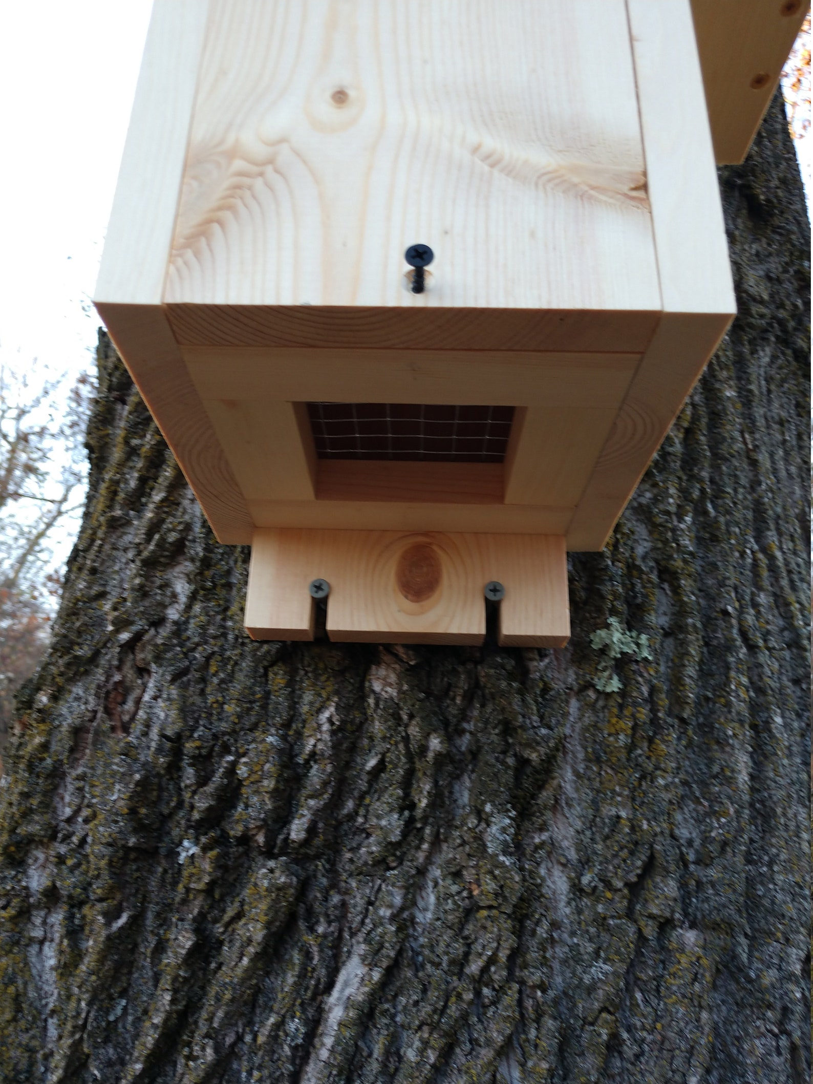 Squirrel Nesting Box With Predator Guard Easy to Mount Etsy