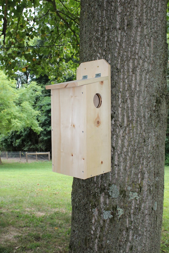 Squirrel Nesting Box easy to mount Feeders & Birdhouses Outdoor