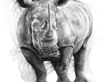 Rhino charcoal drawing print, original, art, gift, present, wildlife, safari