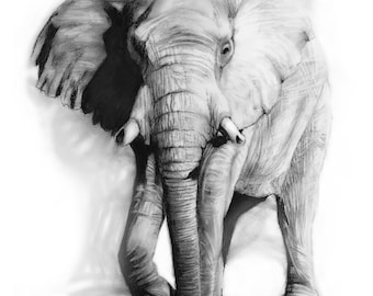Elephant charcoal drawing print, original, art, gift, present, wildlife, safari