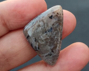 May include: A polished, triangular gemstone with a mix of grey, brown, and black patterns. The stone has a smooth, glossy surface and is held in a hand. The overall shape is reminiscent of a small, irregular arrowhead.
