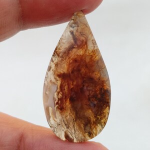 May include: A teardrop-shaped cabochon of brown agate with white and brown patterns. The agate is translucent and has a smooth, polished surface.