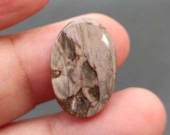 Mushroom Jasper Cabochon.. Mushroom Rhyolite Jasper Cabochon.. 8 cts, 21x14x3 MM.