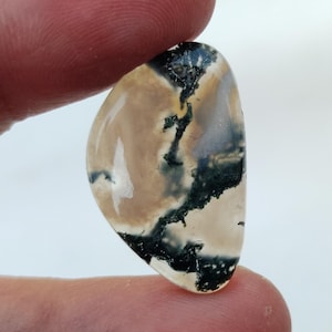 May include: A smooth, light brown and white agate stone with dark green dendritic patterns. The stone is shaped like a teardrop and has a polished finish.