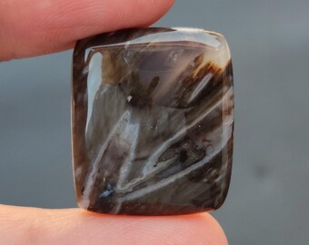 May include: A polished, dark brown and white agate cabochon with a swirling, abstract pattern. The stone has a smooth, glossy finish.