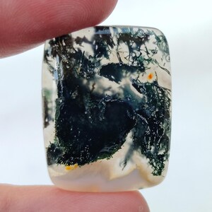 Könnte beinhalten: Ein grüner und weißer Achat-Cabochon mit einem dendritischen Muster. Der Stein ist durchscheinend und hat eine glatte, polierte Oberfläche.