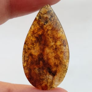 Pode incluir: Uma gema em forma de gota, com uma paleta de cores quentes, âmbar, castanho e dourado. A superfície polida revela padrões internos intrincados. As texturas e variações naturais são realçadas pela luz, criando uma aparência única.