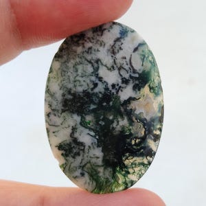 Peut inclure: Cabochon ovale en agate mousse verte, blanche et noire. La pierre présente un motif tourbillonnant de vert, de blanc et de noir.
