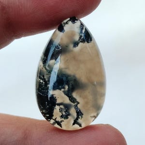 May include: A teardrop-shaped cabochon of dendritic agate. The stone is translucent with a white and gray base and black dendritic patterns.