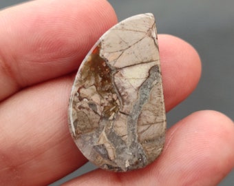 Mushroom Jasper Cabochon.. Mushroom Rhyolite Jasper Cabochon.. 25 cts, 30x18x5 MM.