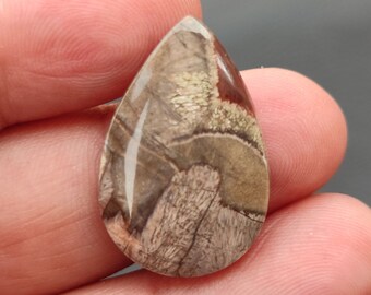 Mushroom Jasper Cabochon.. Mushroom Rhyolite Jasper Cabochon.. 14 cts, 26x17x4 MM.