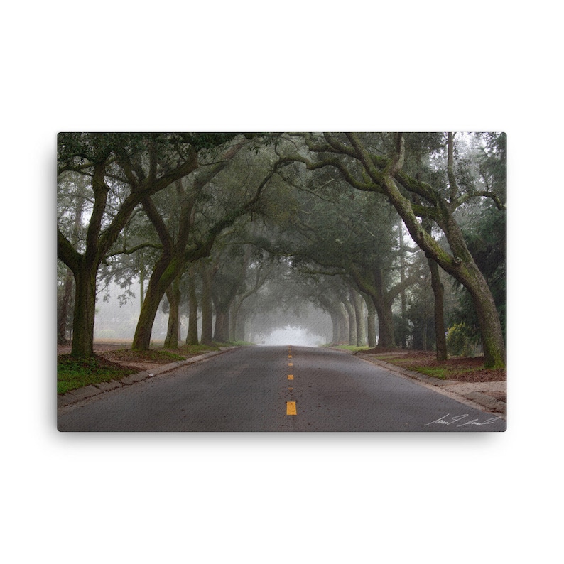 Into The Mist N 12th Ave. Pensacola Florida Canvas Wall Art image 2