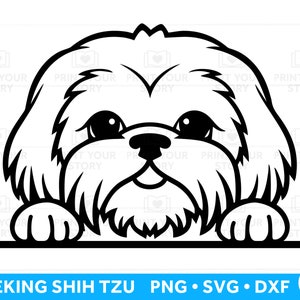 Shih Tzu SVG-Datei, Spähen Shih Tzu für Cricut, Hunderasse SVG, niedlicher Hund Gesicht SVG-Datei