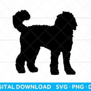 Labradoodle SVG DXF PNG Silhouette - Golden Doodle Svg Silhouette - Download digitale istantaneo