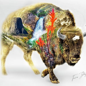 Wyoming Buffalo Canvas Print, Bison Wall Art, Unique Signature Wildlife and Landscape Décor on Canvas by Travis Glasgow