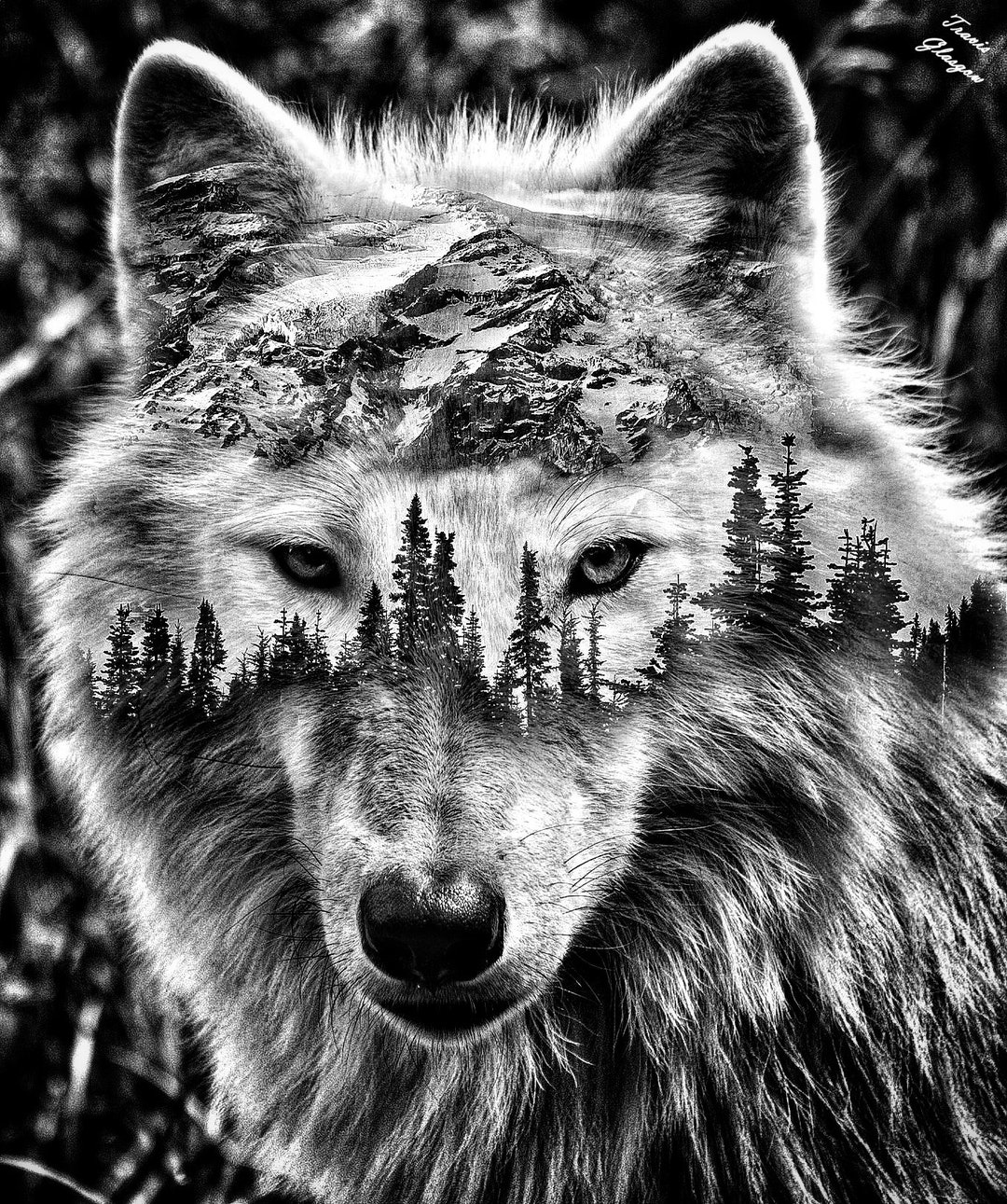 il_1080xN.5134950747_e0a0.jpg