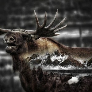 Moose Canvas Print, Moose Art on Canvas, Made on Stretched Canvas, Ready to Hang Wall Art, Home Décor by ArtistTravis Glasgow