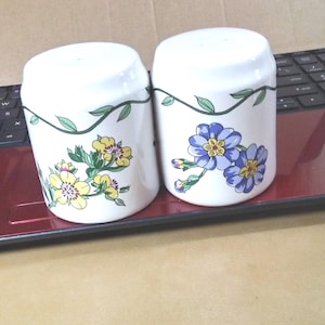 A Pair of Ceramic Salt and Pepper Shakers.