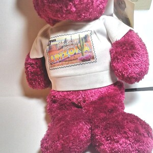 May include: A pink plush teddy bear wearing a white t-shirt with a "Greetings from Arizona" postcard design. The bear is a United States Postal Service official licensed product.