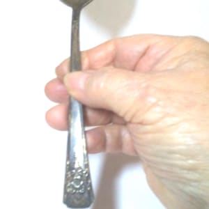 WM. ROGERS IS Vintage Mountain Rose Silver Plate Spoon1954.