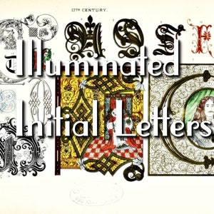 Hand book of illuminated initial letters 6th to the 18th century - 363 examples, Alphabets, Initials, Lettering, Calligraphy, pdf ebook