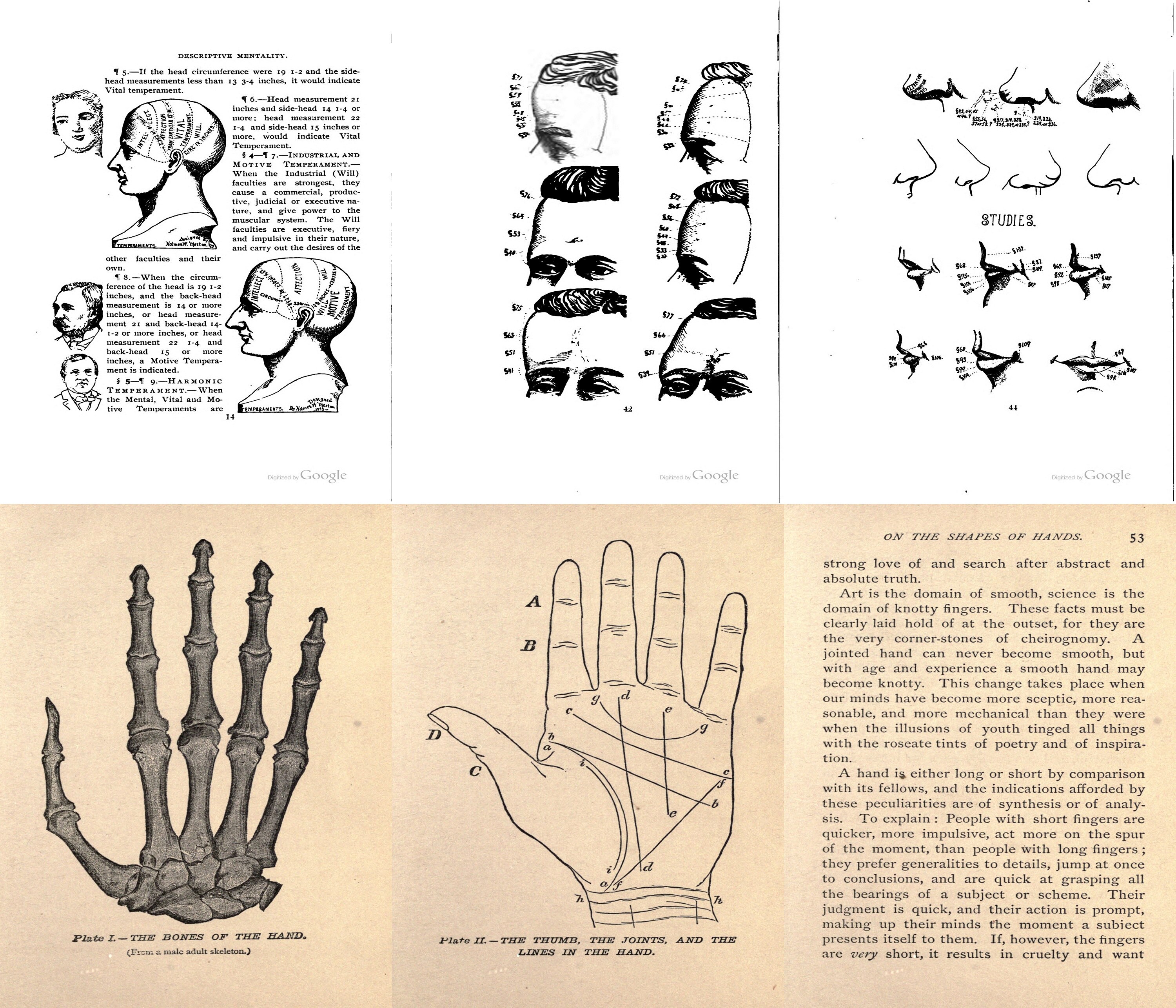 Palmistry Cheirosophy Chiromancy Hand Reading Perin's. Etsy Ireland