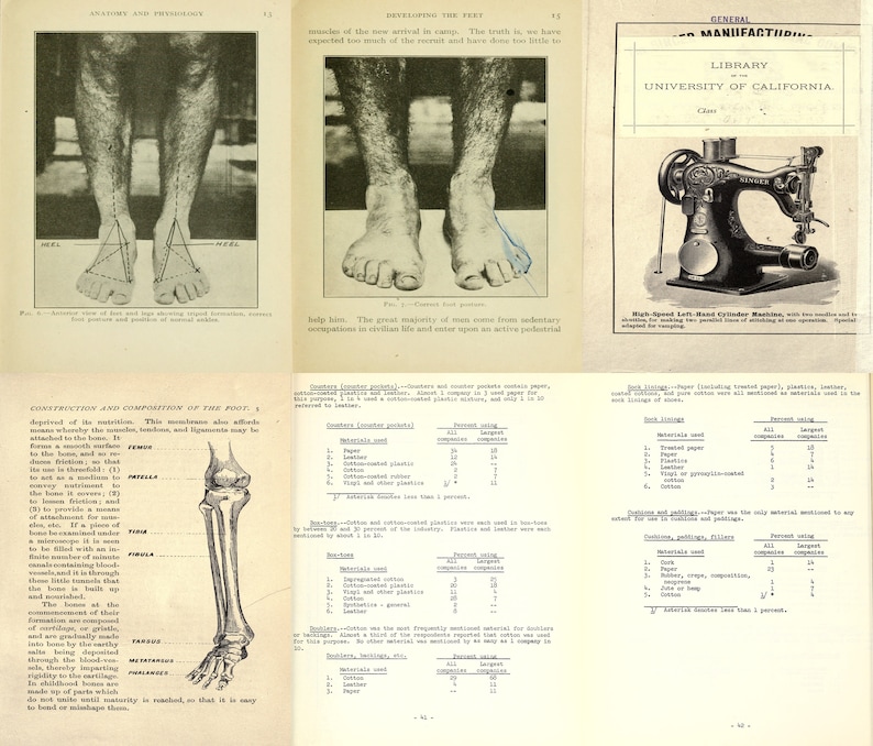 May include: A black and white anatomical illustration of the human foot and leg bones. The illustration shows the femur, patella, fibula, tibia, tarsals, metatarsals, and phalanges.