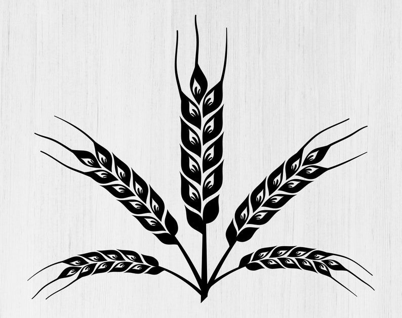 Download Art Collectibles Clip Art Wheat Svg Wheat Svg Bundle Grain Svg Wheat Clipart Wheat Clip Art Wheat Silhouette Wheat For Cricut Wheat Cut Files Harvest Svg Wheat Png