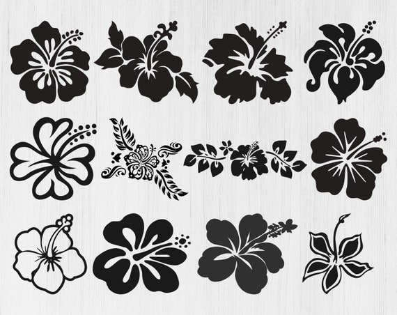 Download White Hawaiian Flower Svg