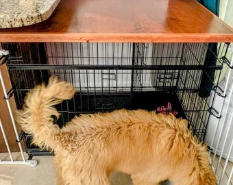 May include: A brown dog with a fluffy tail is standing in front of a black metal dog crate. The crate has a wooden top and is sitting on a white tiled floor.