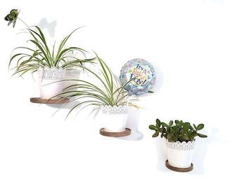Wooden floating shelf, wooden wall shelf, small floating shelf, circle wood shelf, Ash decorative plant shelf, small modern shelves