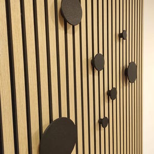 Puede incluir: Un panel de pared de madera con rayas negras verticales y vetas de madera marr&oacute;n claro. Varios ganchos de pared circulares negros mate de diferentes tama&ntilde;os est&aacute;n adheridos, creando un dise&ntilde;o moderno y minimalista.