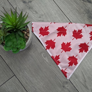 Canadian Dog Bandana ( Maple Leaf Pattern, Over the Collar, Pet Neckwear)