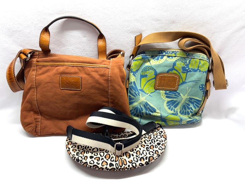 Pu&ograve; includere: Tre borse in vari stili. Una borsa tote in tela marrone con manico superiore e tracolla. Una borsa a tracolla con stampa a farfalle blu e verdi. Una borsa rotonda con stampa leopardata e cinturino a righe bianche e nere.