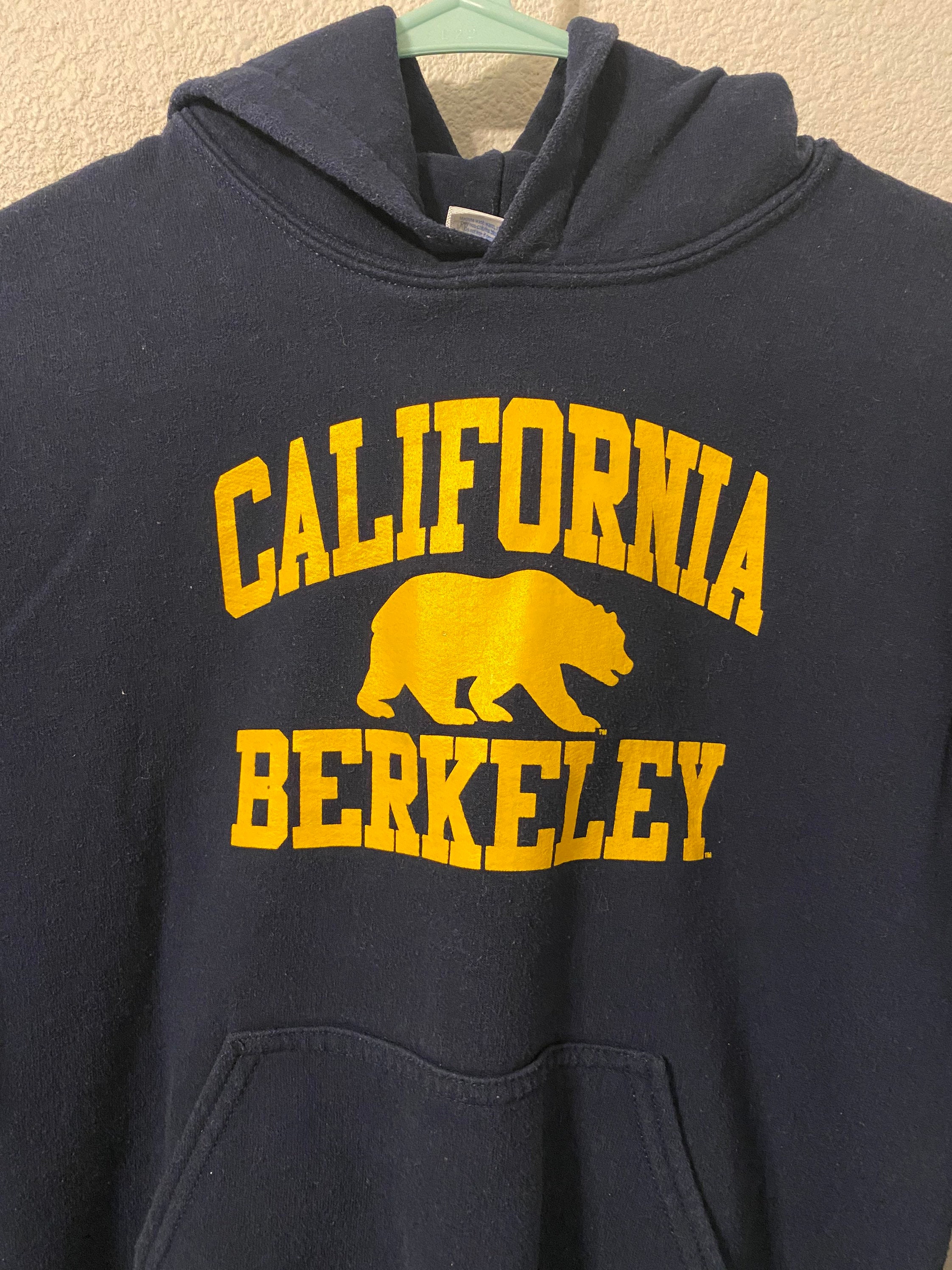ALSTYLE 90s berkeley hoodie L