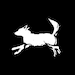 Sunhund