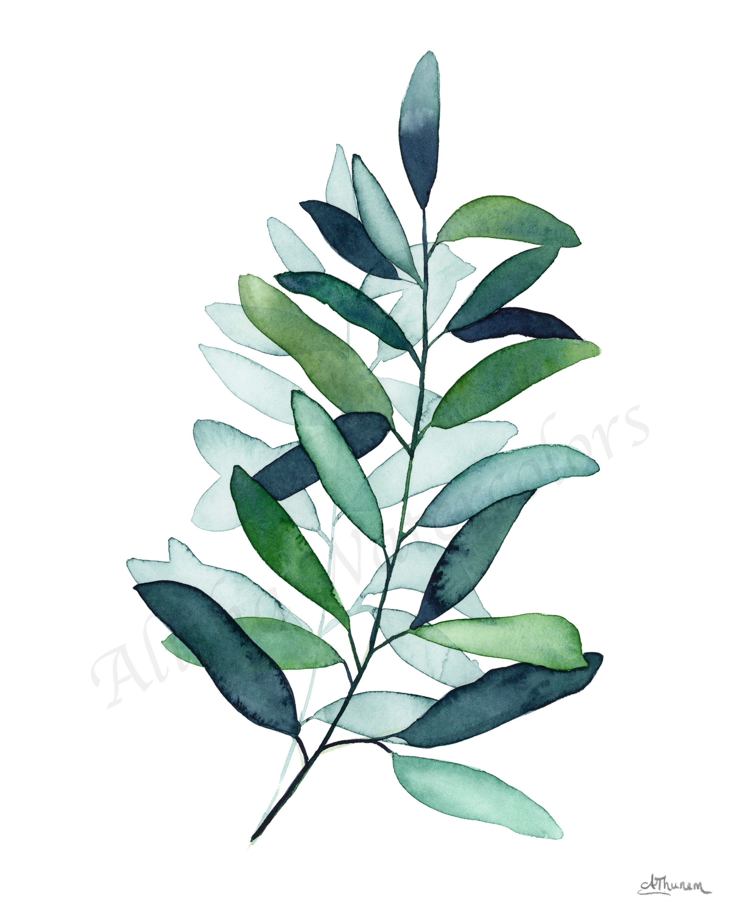 Olive Branch Botanical Print / Greenery Art / Watercolor | Etsy